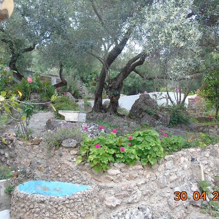 Casa El Cerro Βίλα El Bosque Εξωτερικό φωτογραφία