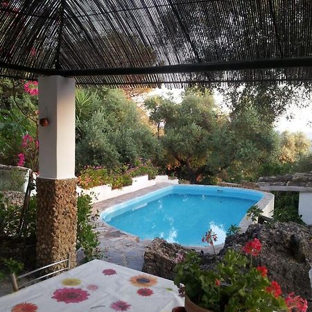 Casa El Cerro Βίλα El Bosque Εξωτερικό φωτογραφία
