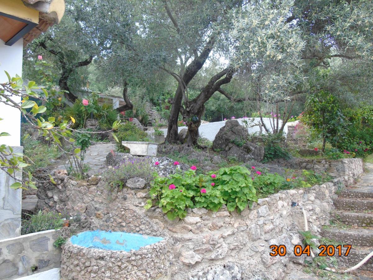 Casa El Cerro Βίλα El Bosque Εξωτερικό φωτογραφία