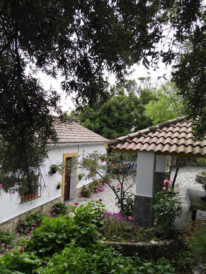 Casa El Cerro Βίλα El Bosque Εξωτερικό φωτογραφία