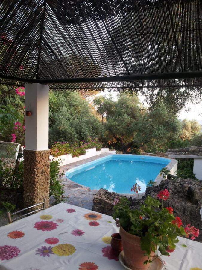 Casa El Cerro Βίλα El Bosque Εξωτερικό φωτογραφία