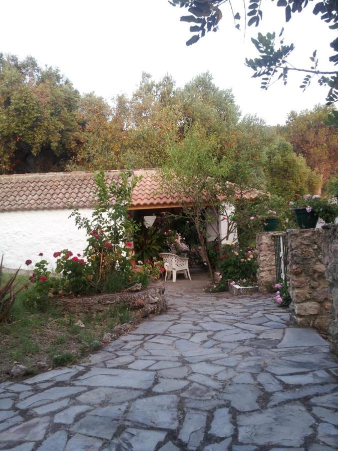 Casa El Cerro Βίλα El Bosque Εξωτερικό φωτογραφία