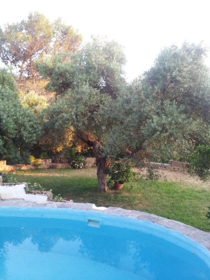 Casa El Cerro Βίλα El Bosque Εξωτερικό φωτογραφία